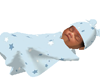 Musa newborn