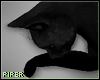 P| Realistic Black Cat