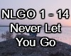 Never Let You Go