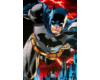 Batman Picture