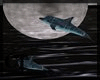 {CT} Animated Dolphins