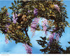 *M* Flower lady frame