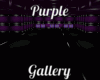 Purple Gallery