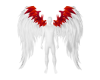Angel Wings