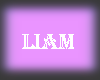 Liam Plaid Pants