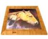 Painted Horse Frame