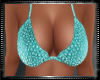 Liza Teal  Bra Top