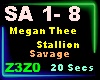 savage-Megan Thee stalli