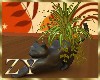 ZY: Boho Cat Planter