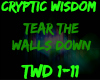 [D.E]Cryptic Wisdom