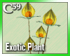 [C59] Exotic Yellow 3