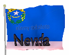 flag - Nevada