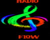 Gorra Radio Flow