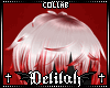 . Peckii | Hair M