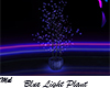 Blue Purple  Light Plant