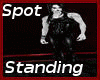* Single Standing Spot