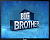 Big Brother Show on TV