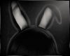 bunny headphone  black
