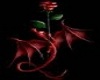 Red Rose Dragon Set
