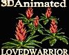 5 Animated Bromeliads 6