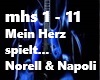 Norell & Napoli