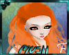Smuk's Persimmon Hair 1