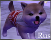 Rus: Shiba Pup Winter 2