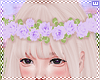w. Crown Lilac