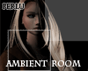 [P]Ambient Room Darknes