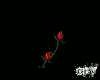Stem of red roses