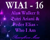 Alan Walker - Who I Am