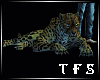 Leopard   /Pets
