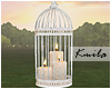 |K Candles Birdcage