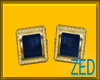 Z Blue Gold earrings!