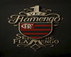 ℉ Cutout Flamengo