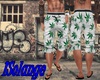 SHORT ERVA