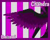 Chandra Wings