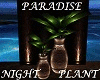 Paradise Night Plant