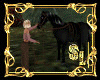 *Horse 2 Poses