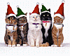 christmas kittens cutout