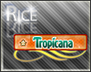 [R89] Tropicana V.I.P