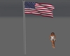 Flag - American