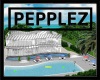 New Furnished Beach