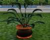 green potted plant 5
