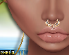 Gold Nose Jewelry