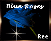 Ree|Blue Roses Loft