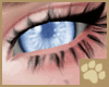 ~AM~ Sufi Eyes v3
