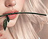 é Valentine's Rose F