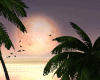 BaN-Aise Island