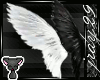 <J> Angel Wings V3 <J>